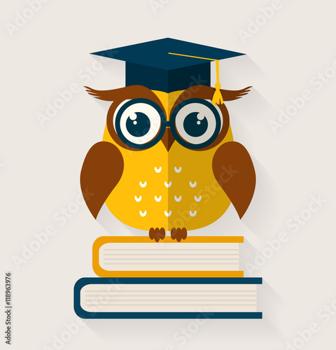 Wise owl