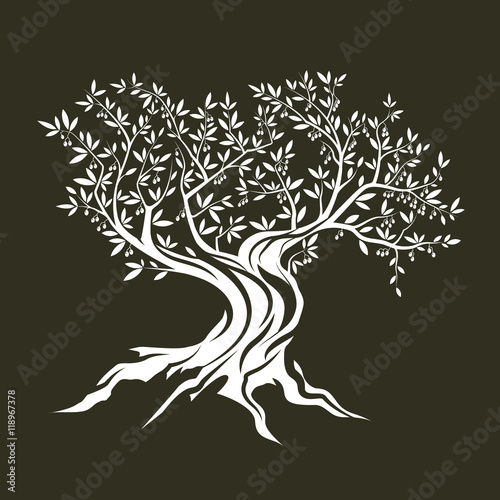 Olive tree silhouette icon isolated