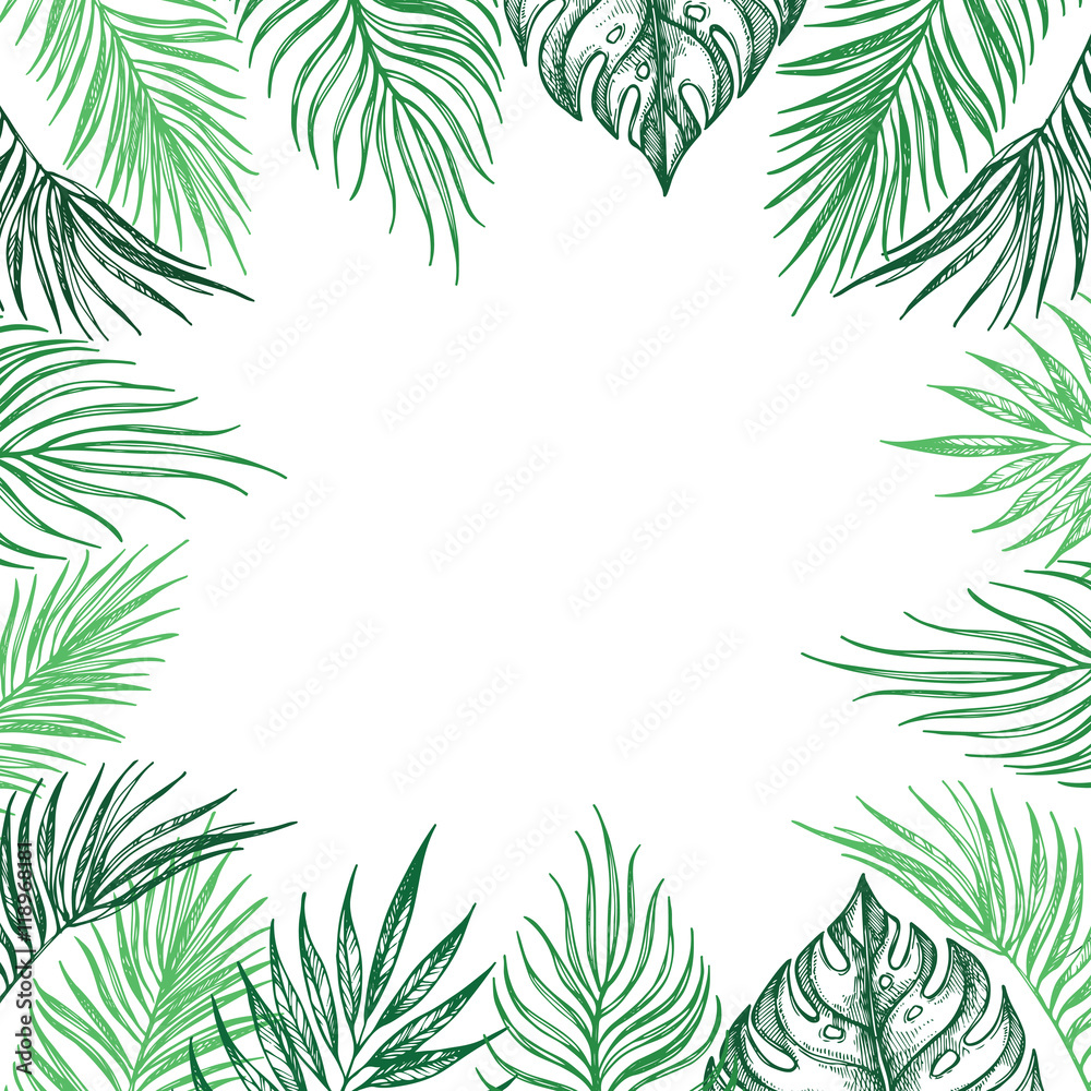 Hand Drawn vector illustration - card with natural elements. 