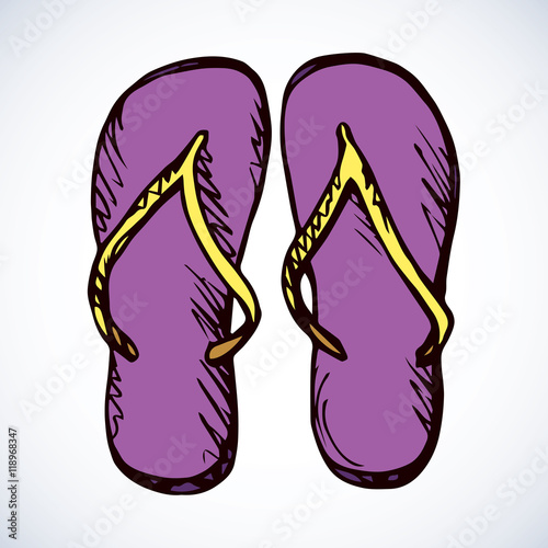 Slippers. Vector drawing