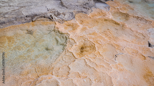 Colorful structure of microbial mats. Mammoth Hot Springs, Yellowstone National Park, Wyoming, USA