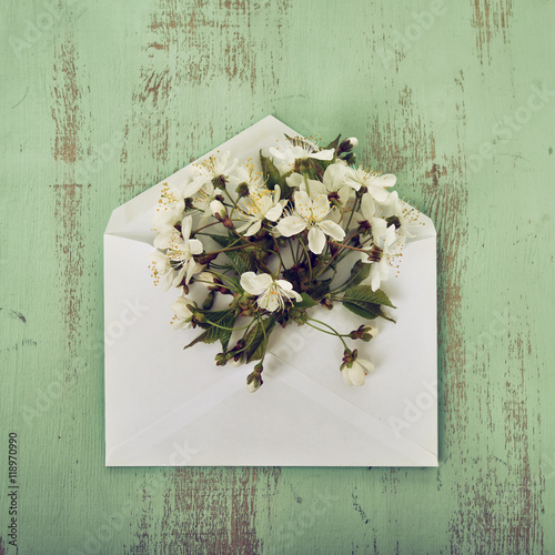 Blooming cherry branches. Envelope with spring flowers over roug photo