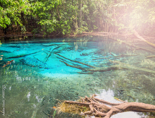 Fototapeta Naklejka Na Ścianę i Meble -  tropical Lake in jungle Blue Pool Krabi Province, Thailand