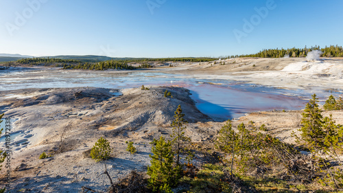 Amazing landscape of small geysers, hot springs, and vents. The barren snow-colored basin. Porcelain Basin of Norris Geyser Basin, Yellowstone National Park, Wyoming