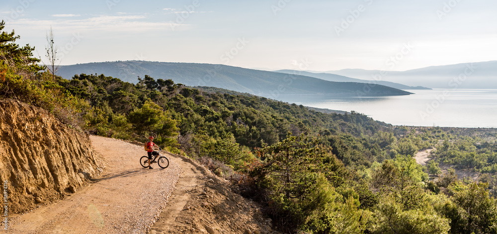 Fototapeta premium Mountain biker riding on bike in summer sunset woods