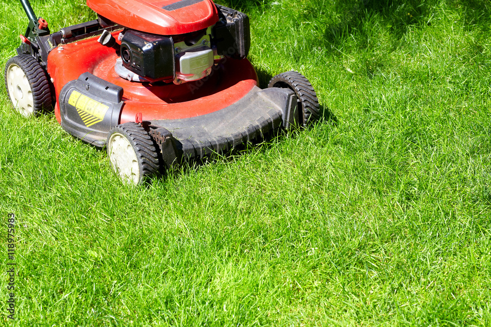 Fototapeta premium Lawn mower cutting the grass.