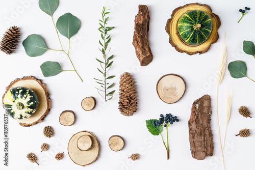 Wallpaper Mural autumn plants Torontodigital.ca