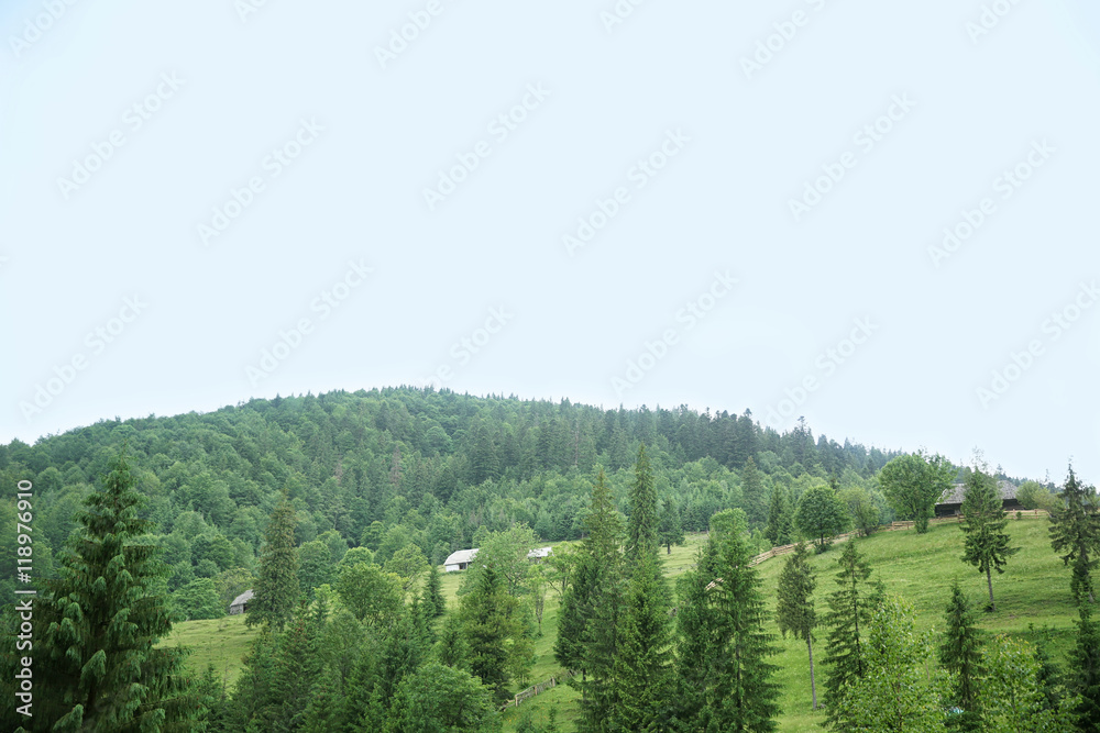 Fototapeta premium Green forest hills