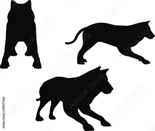 animal wolf silhouette