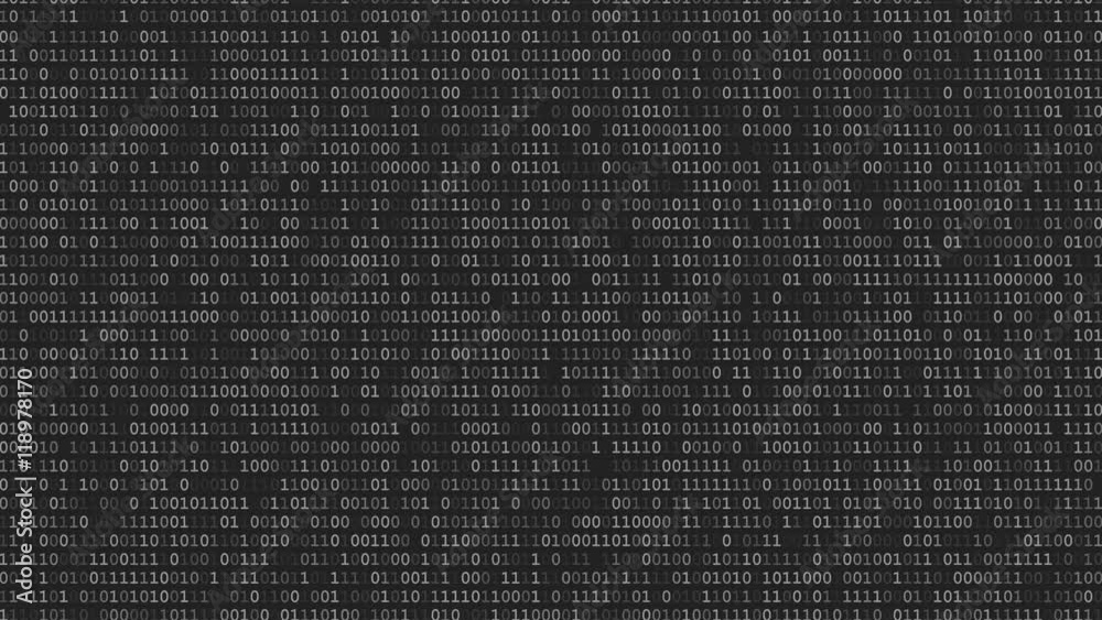 Binary Code Listing Binary Code Listing