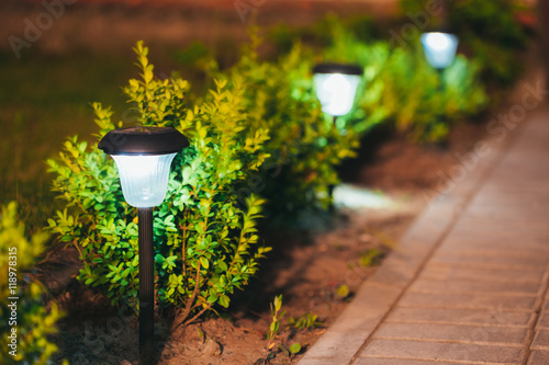 Obraz na płótnie Small Solar Garden Light, Lantern In Flower Bed. Garden Design. w salonie