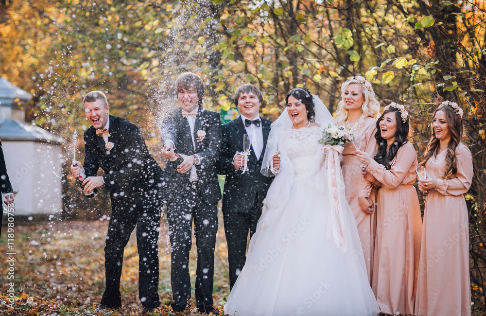 Wedding guests clinking glasses with the newlyweds at the park. Newlyweds with bridesmaids and groomsmen having fun. Toast. Champagne glass.