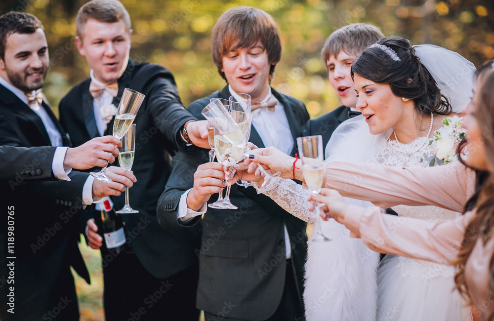 Wedding guests clinking glasses with the newlyweds at the park. Newlyweds with bridesmaids and groomsmen having fun. Toast. Champagne glass.