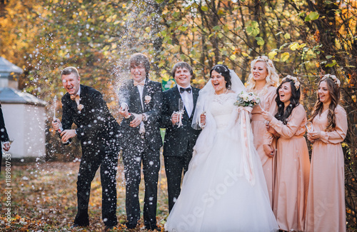 Obraz na płótnie Wedding guests clinking glasses with the newlyweds at the park. Newlyweds with bridesmaids and groomsmen having fun. Toast. Champagne glass. w salonie