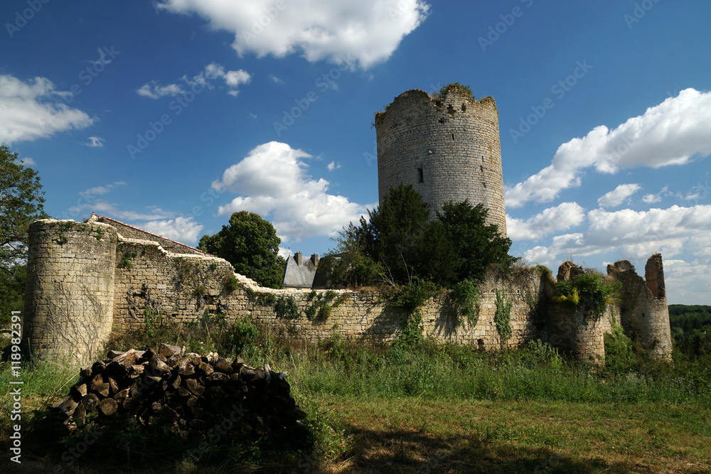Ruine du Donjon et de l'enceinte du Château de Montreuil Bonnin