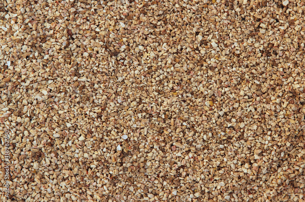 Background of corn filler for rodents Background of corn filler for rodents