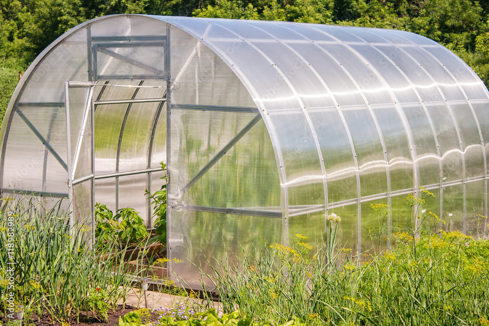 plastic greenhouse for growing vegetables