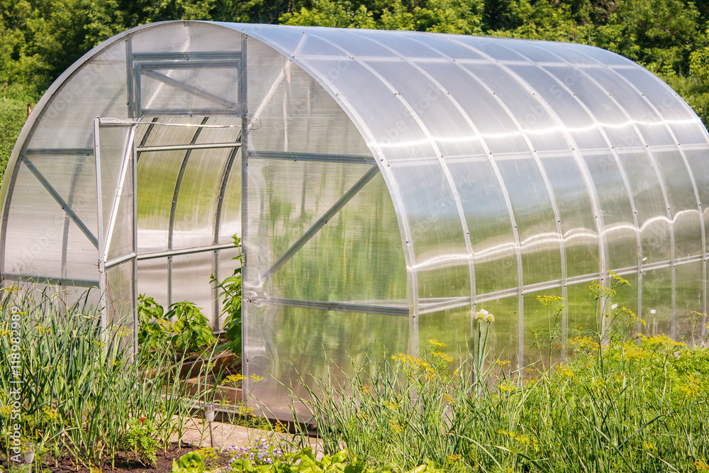 plastic greenhouse for growing vegetables plastic greenhouse for growing vegetables