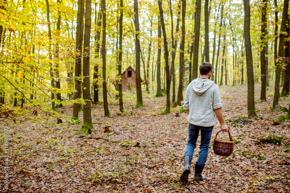 Young man with basket picking musroom in autumn forest Young man with basket picking musroom in autumn forest