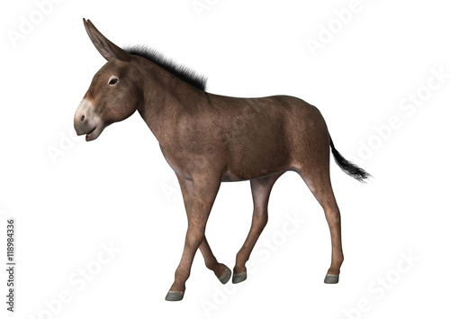 3D Rendering Donkey on White