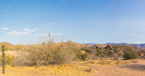 Expanse of Mojave Desert Wilderness