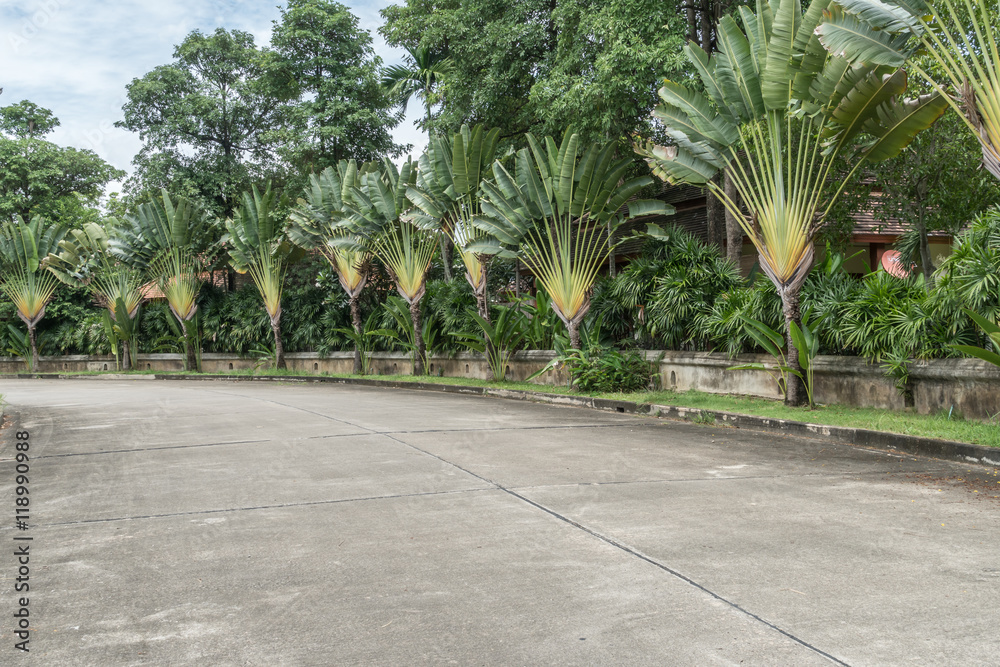 Road in the park