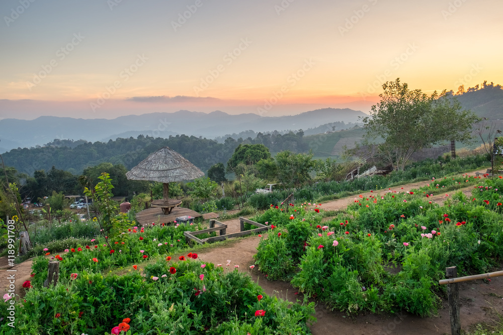 Fototapeta premium Landscape attractions sunset twilight beautiful at mon jam,chiang mai