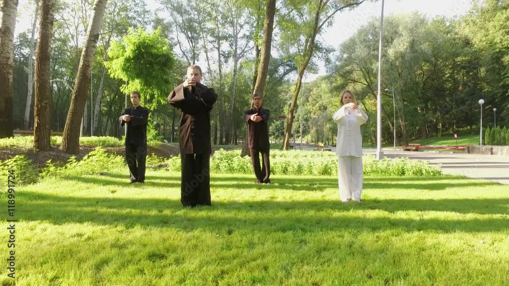 Training in the park. Workout. Group of four people practicing the elements of qigong. 4K Training in the park. Workout. Group of four people practicing the elements of qigong. 4K