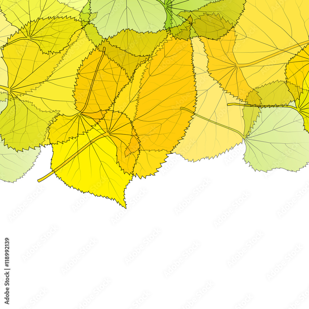Fototapeta premium Leaves autumn background vector abstract illustration card