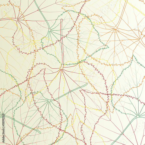 Leaves transparent background vintage illustration abstract vect