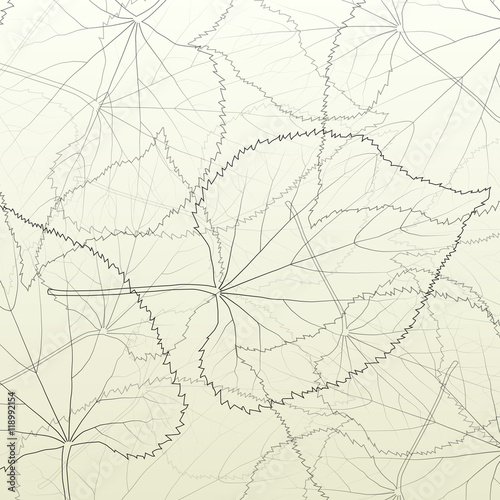 Leaves transparent background vintage illustration abstract vect