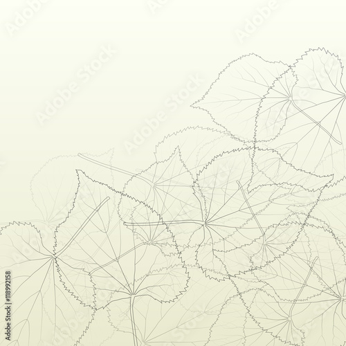 Leaves transparent background vintage illustration abstract vect