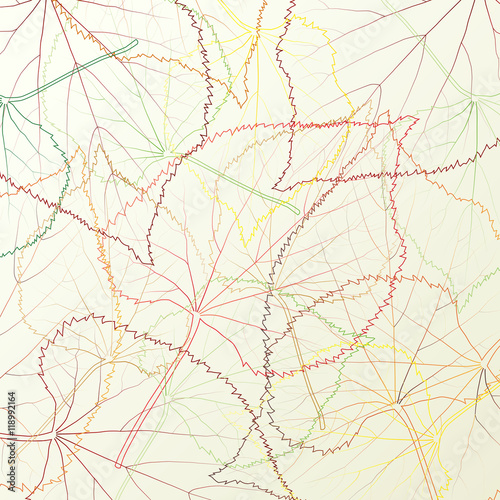 Leaves transparent background vintage illustration abstract vect