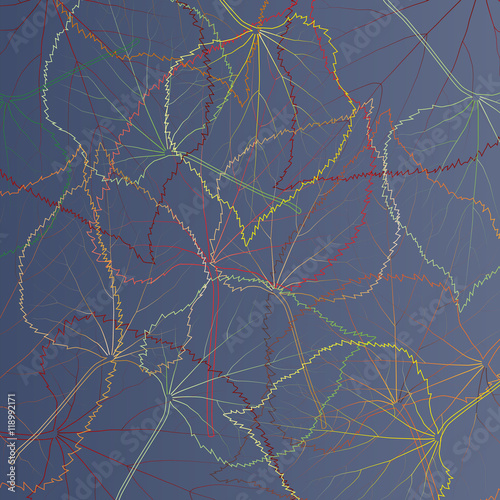 Leaves transparent background vintage illustration abstract vect