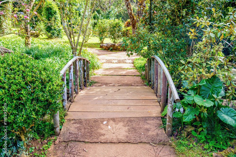 Walkway sylvan in garden