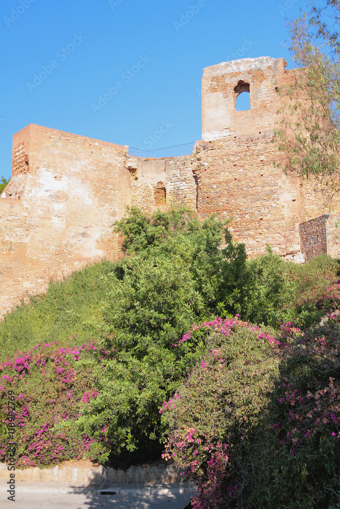 At wall of ancient fortress of Alcasaba. Malaga, Spain
