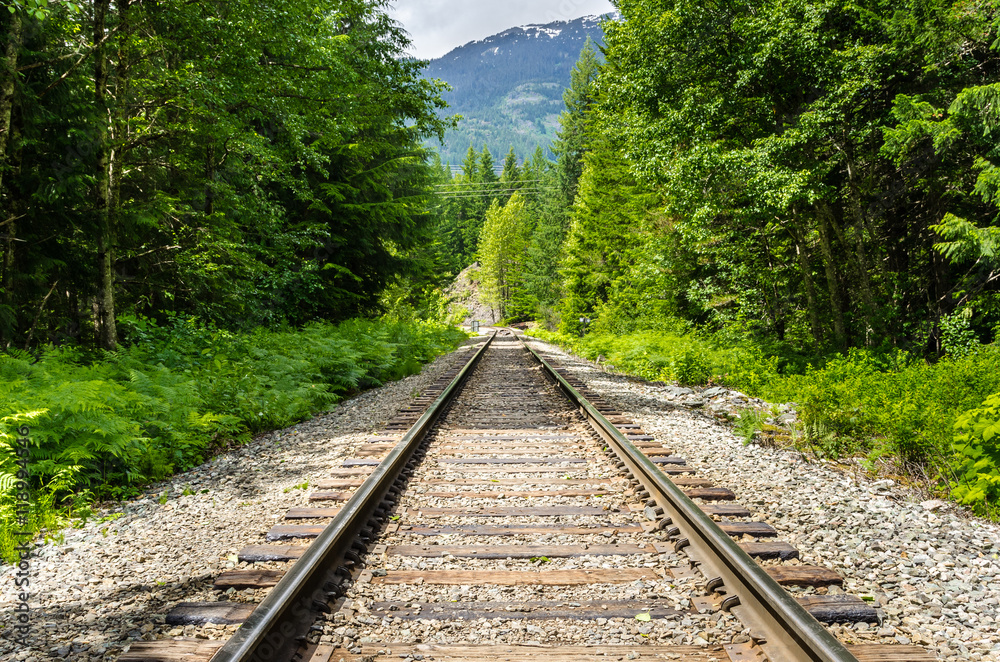 Empty Railway Line through a Forest