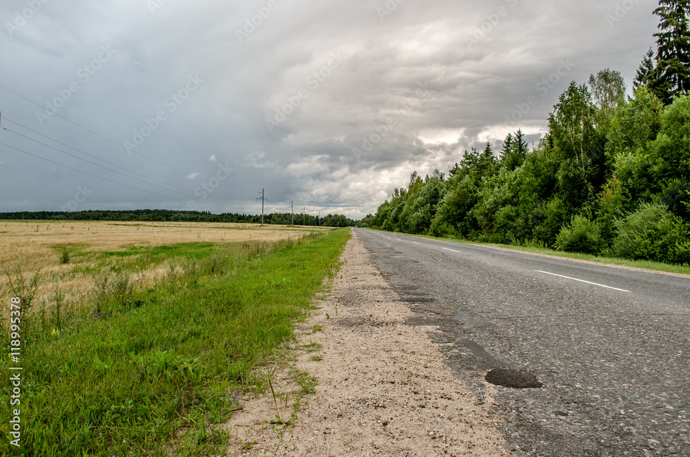  asphalt road and forest. Summer landscape with country road and field of wheat. Road lane and deep sky. Nature design. asphalt road and perfect green field.
