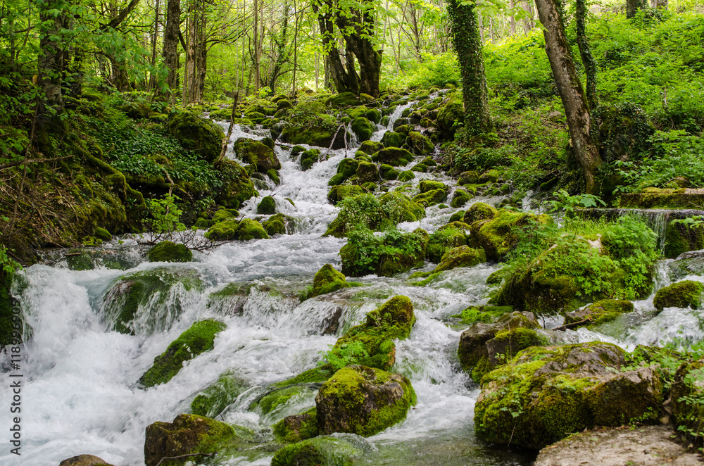 The mountain river in Montenegro