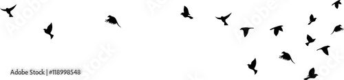Bird flying silhouette vector on a white background