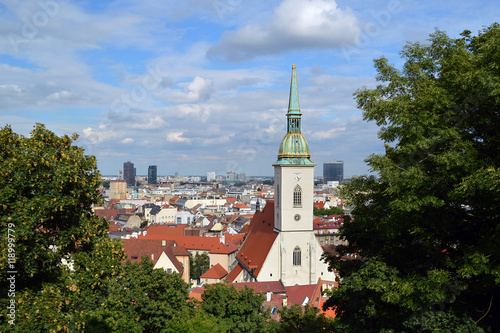 St Martins Cathedral through trees, Bratislava