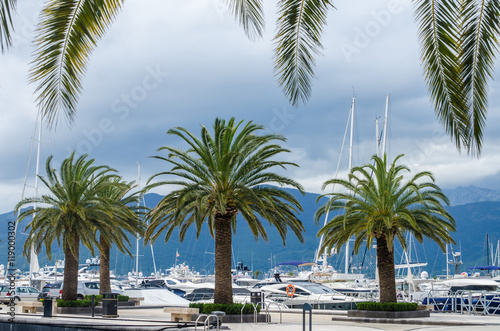 Marina Porto Montenegro © rostyle