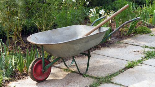 Empty garden wheelbarrow between flower beds