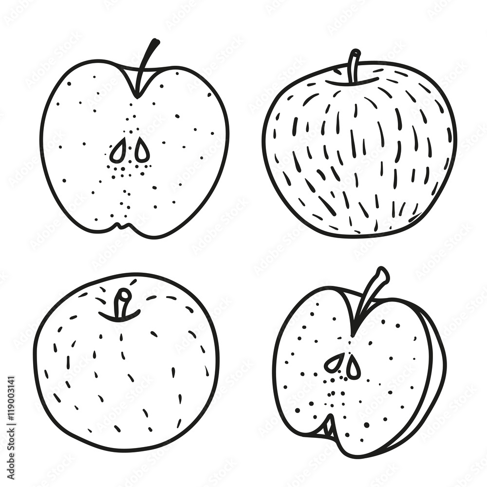 Fototapeta premium Set of Fresh contour apple. Doodle style.