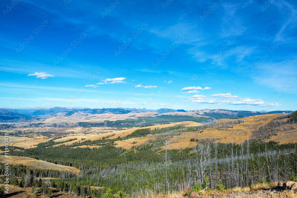 Rugged Landscape in Yellowstone