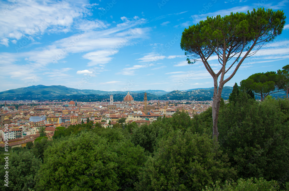 Florence, Italy - The capital of Renaissance's art and Tuscany region.
