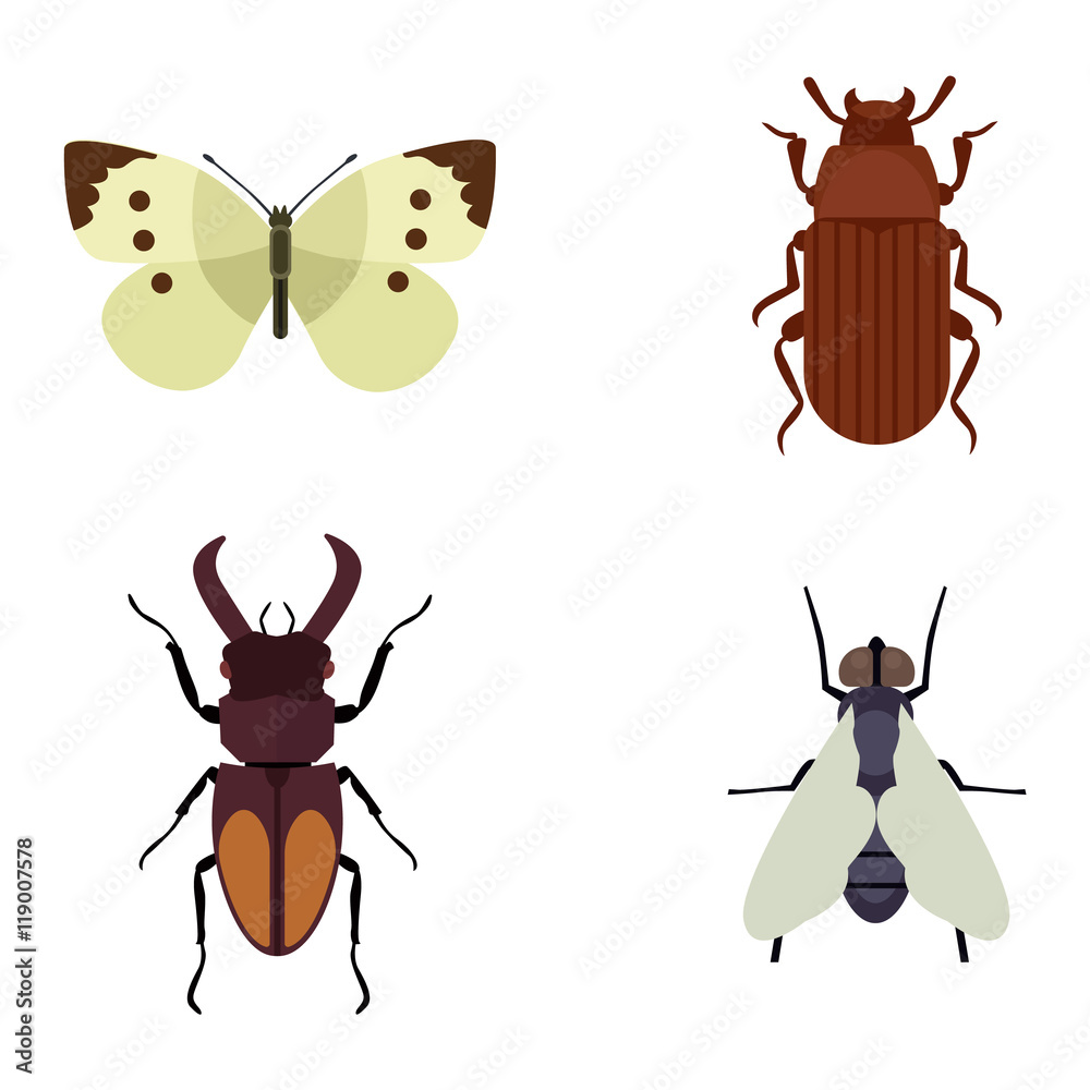 Fototapeta premium Insect icons flat set isolated on white background