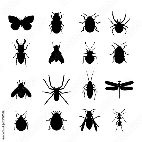 Insect icon black silhouette icons