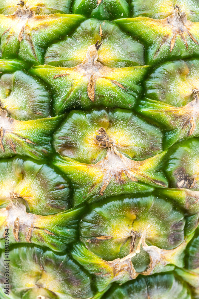 Ananasfrucht isoliert Ananasfrucht isoliert