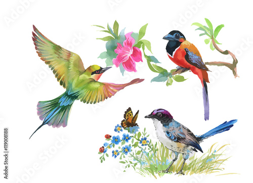 Wallpaper Mural Watercolor colorful Birds and butterfly with leaves and flowers. Torontodigital.ca